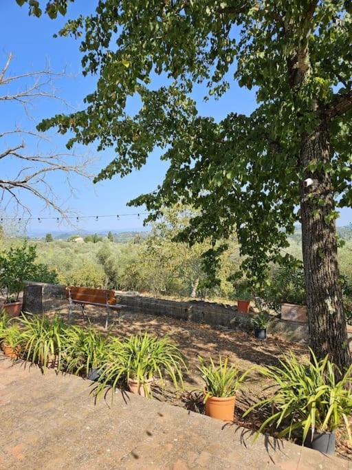 Casina Rossa Daire Tavarnuzze Dış mekan fotoğraf